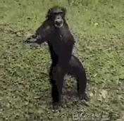 缺钱哪些网贷可以用,缺钱借钱最新