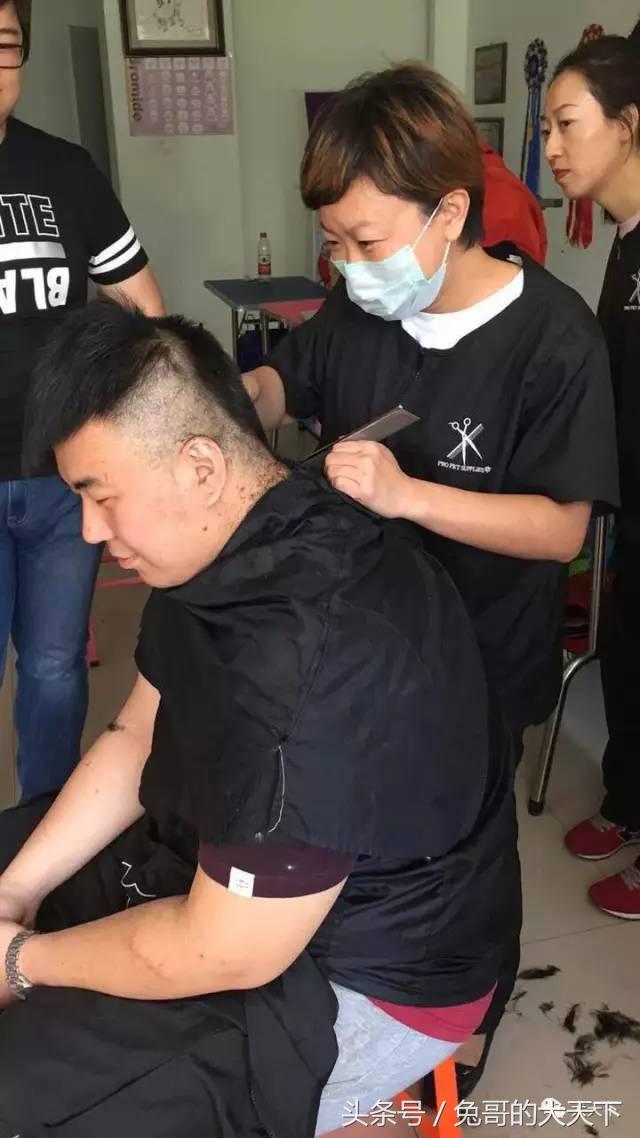 我的故事：不再迷茫的两百斤胖洋洋！我和宠物美容师的故事