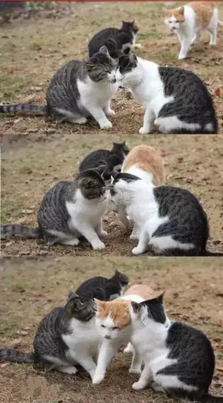 别跟我谈什么梦想我只想躺赢,别跟我谈什么梦想