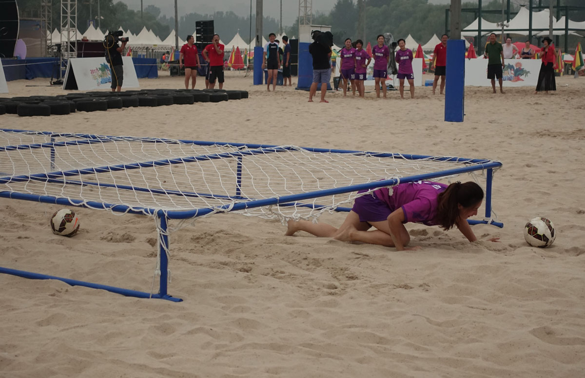 汪星人大战螃蟹,汪星人大战龙虾