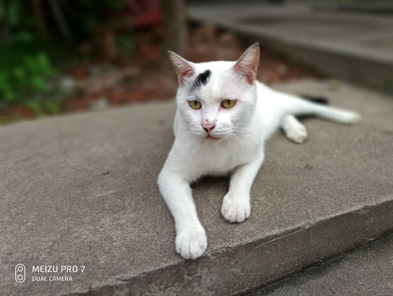 魅族pro7现在值得购买吗,魅族pro7现在值得入手