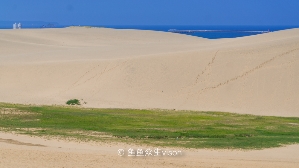 这里是日本,日本旅游柯南故乡