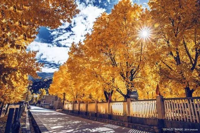 川西最美秋景,四川最美秋景