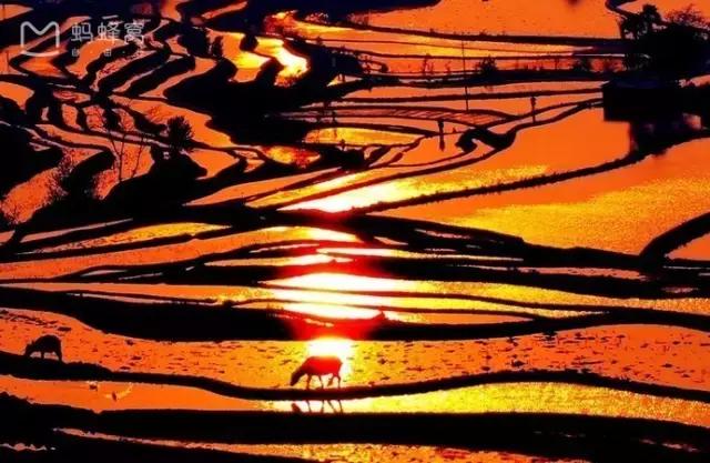 川西最美秋景,四川最美秋景