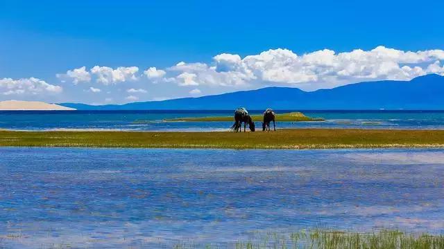川西最美秋景,四川最美秋景