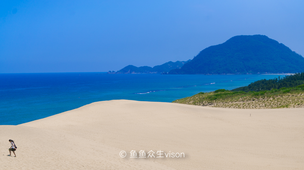 日本东京大阪最值得去的地方,日本大阪深度游攻略