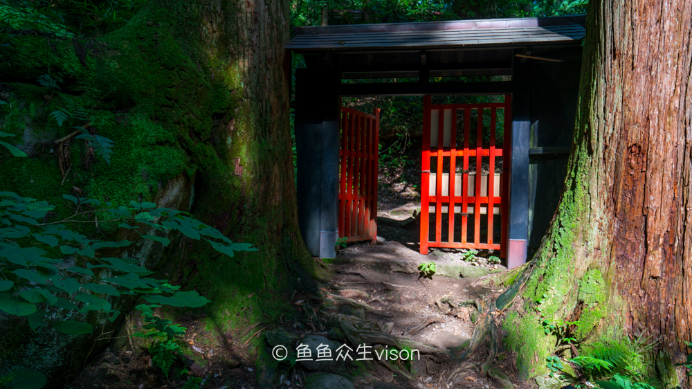 这里是日本,日本旅游柯南故乡