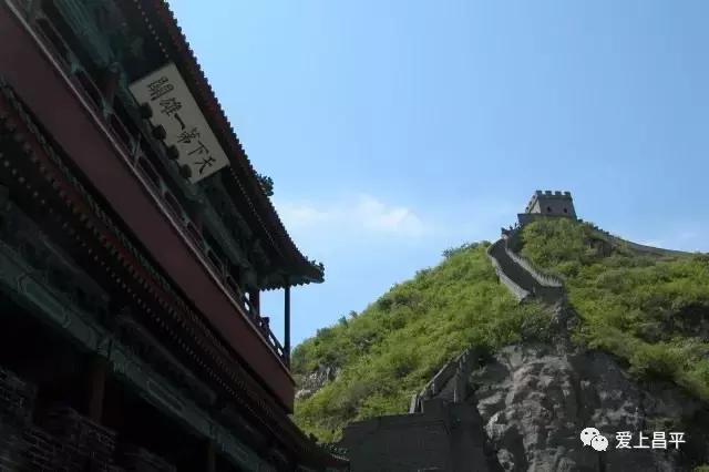 我们是谁原版,我们是谁完整版