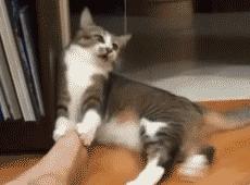 有了你这双脚,无毒避让,妖魔俯首,一息尚存,独步天下