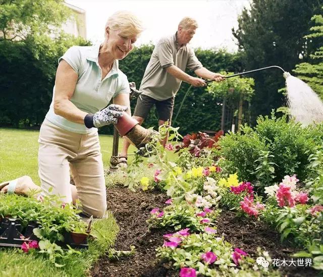 全球园林机械市场,园林工具市场前景如何
