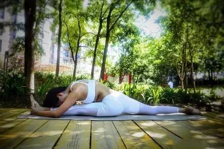 从零开始瑜伽教培怎么收费,练习瑜伽学费多少钱一个月