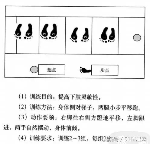 绳梯软梯训练视频,绳梯训练10种方法