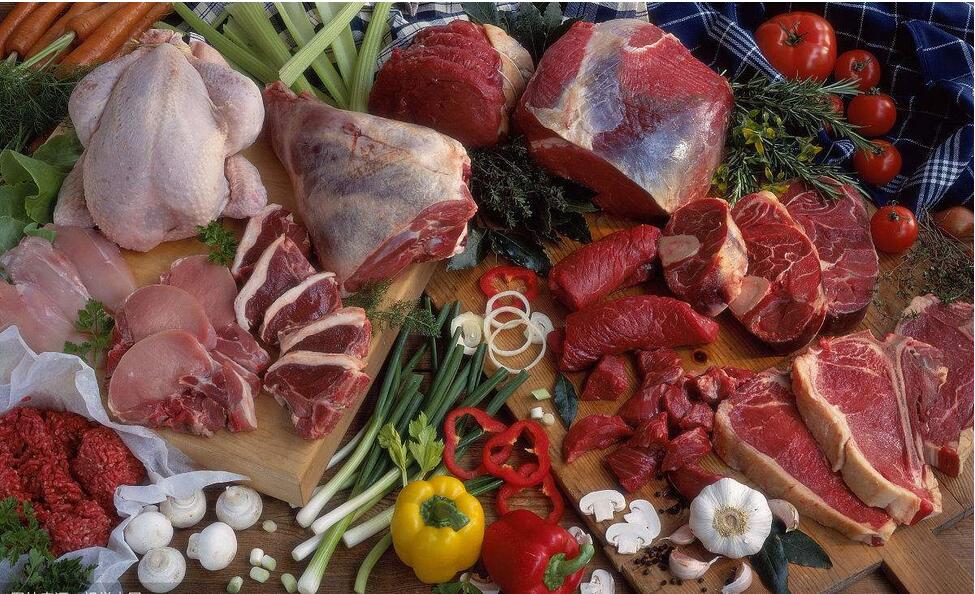 三个月泰迪可以吃什么食物,对泰迪有益的五种食物