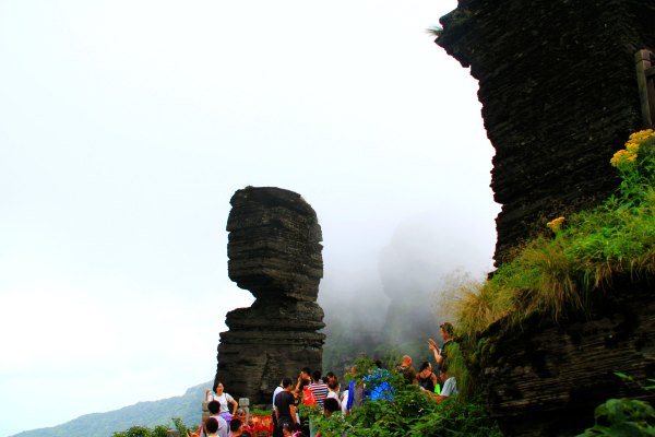 天天有人去山上采蘑菇,每天来观看的游客上万人