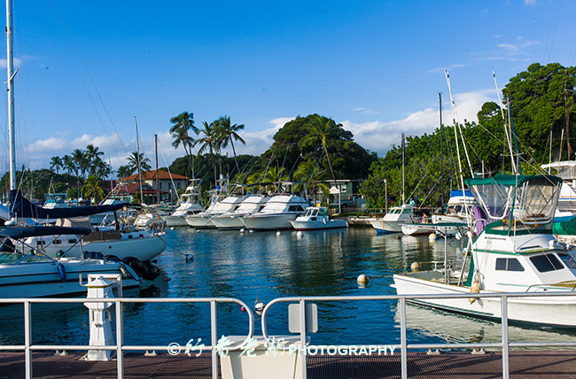 背包客攻略视频,西安背包客十年青旅