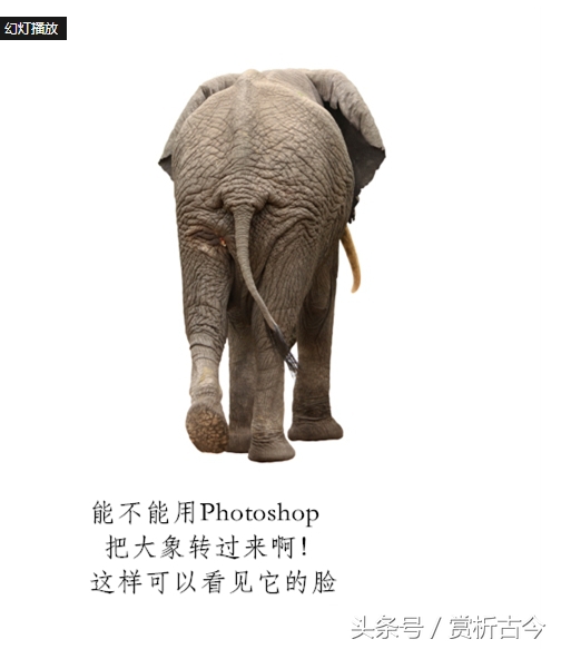 如何看待设计师就业,怎么看待设计师这个行业