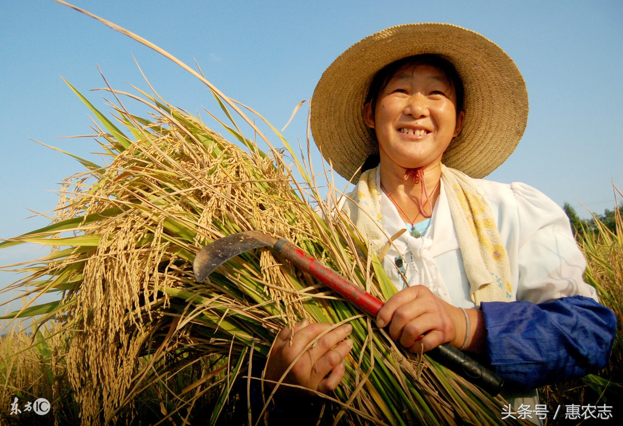 农村俗语一人说话全有理,农村俗语一嘴两舌