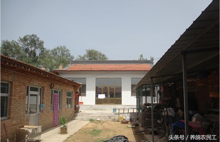 养鸽农民工探访资深鸽友，毫无保留的倾囊相授信鸽可以这样玩！