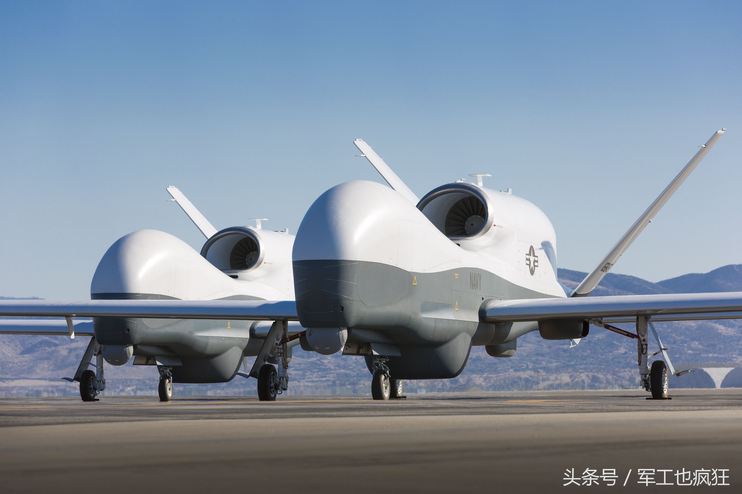 全球鹰翅膀为什么那么长,全球鹰是世界第一吗