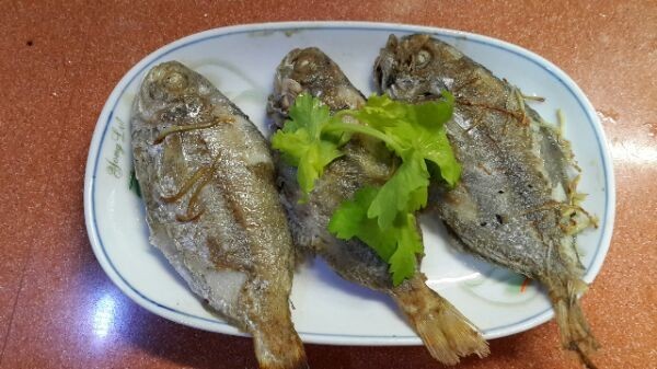 又到吃海鲜的季节咯！一位吕四渔民整理的海鲜大全，保证有你不认识的！