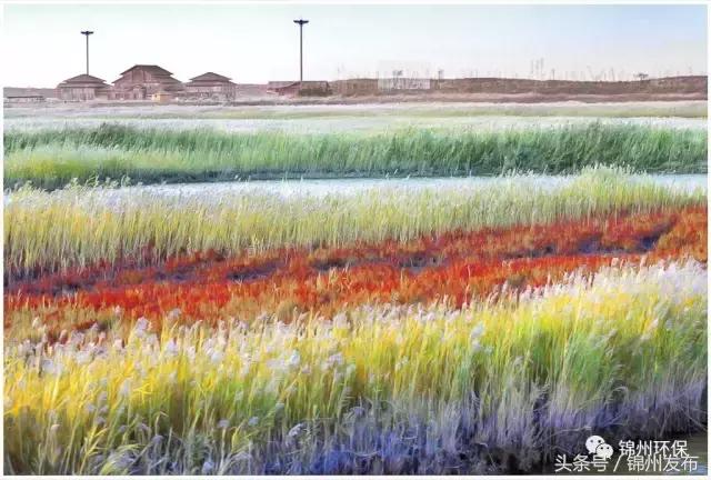 锦州市生态环境优化,你不能错过