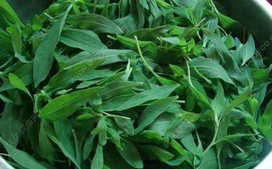 湿疹特别痒只能靠打针该怎么办,湿疹太痒了偏方