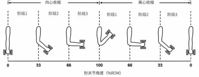 完美肱二头肌训练臂力棒,完美二头训练方法