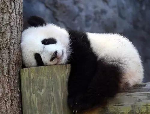 大师兄小师妹怎么样,手把手教你修复u盘