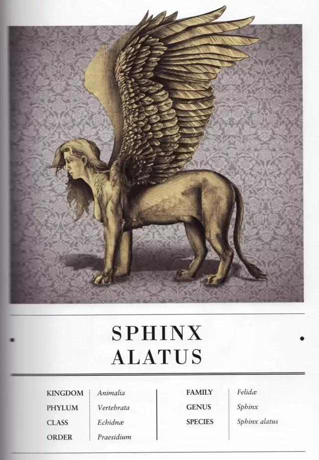 这不科学！游戏怪兽解剖指南