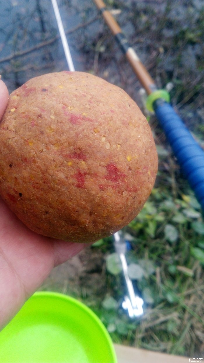 锦鲤迎春鱼跃龙门,锦鲤观赏鱼鸿运当头