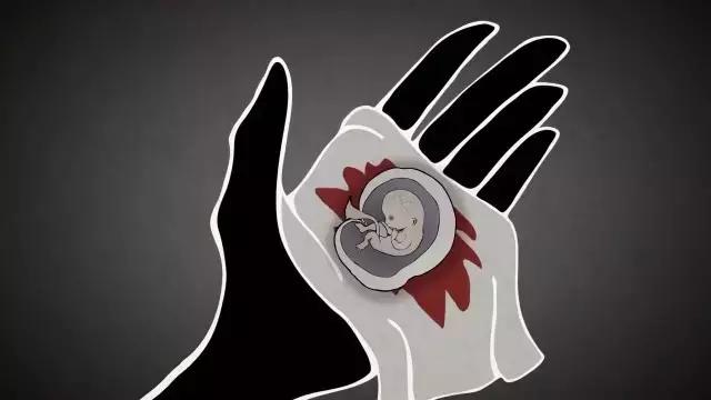 LAN《性、安全、录像带》