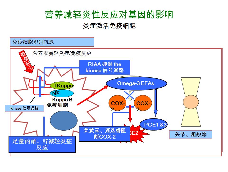 如何用营养素治疗癌,治疗癌症的免疫治疗方法