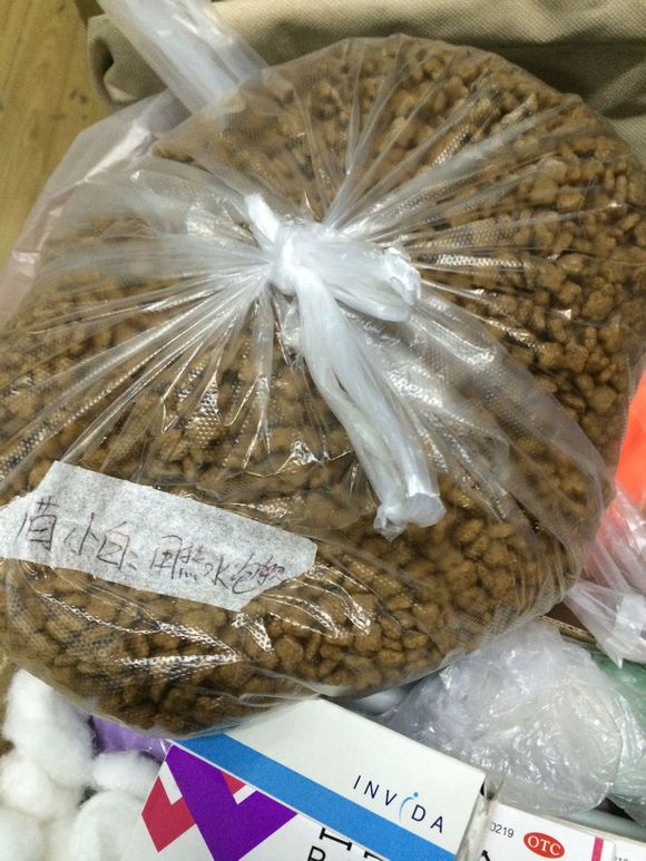 垃圾桶旁边的小猫，我走进了冲着我叫却叫不出声音，只能嘴巴动！