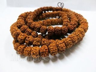 菩提是智慧的象征,菩提智慧觉悟