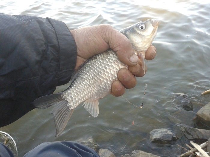 远征远征17,远征17-20