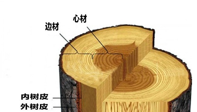 实木门板变形什么原因呢,实木门板颜色为什么有色差