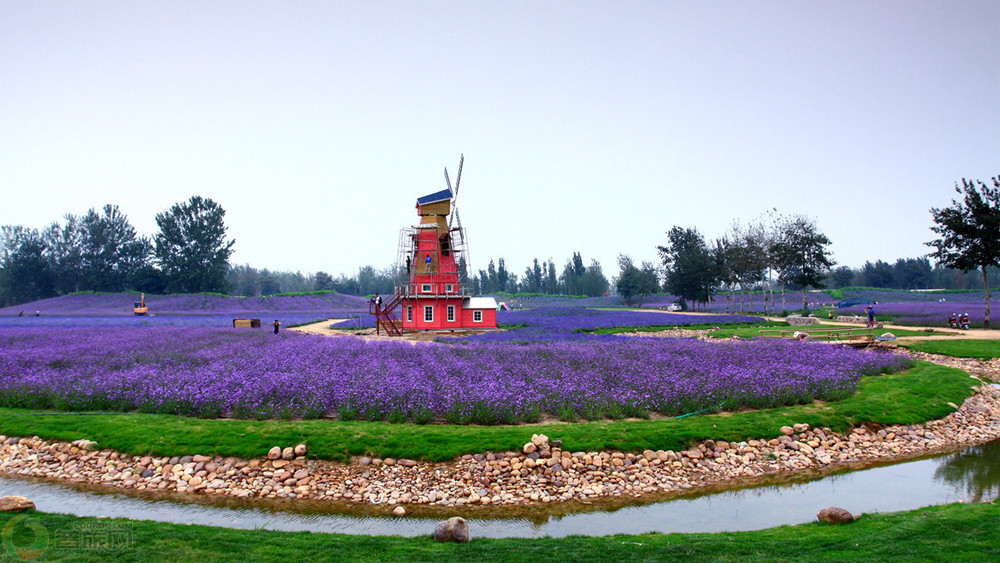 石家庄主题公园,石家庄有个什么主题公园