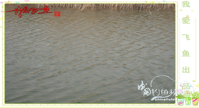 2016之我爱飞鱼觅得好钓点