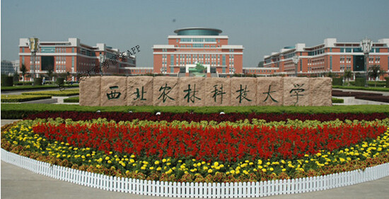 低调但是实力超凡四所“非著名”院校