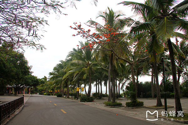 一起去三亚旅游就是最好的陪伴,三亚攻略自由行情侣