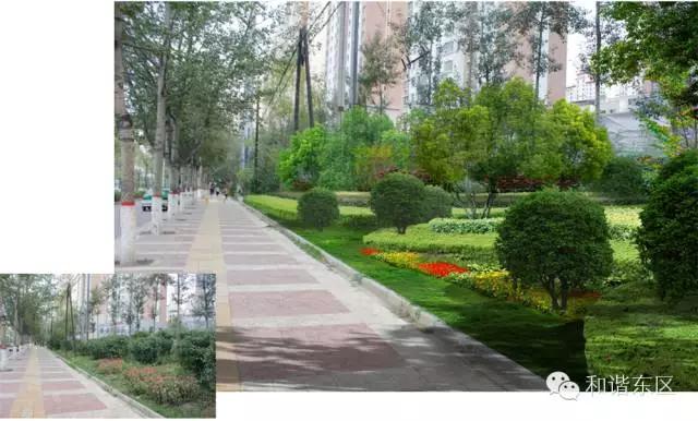 东区绿道,东部新区绿道