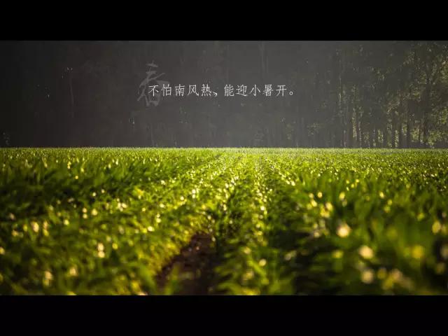 不会制作ppt别担心,初学者不会做ppt