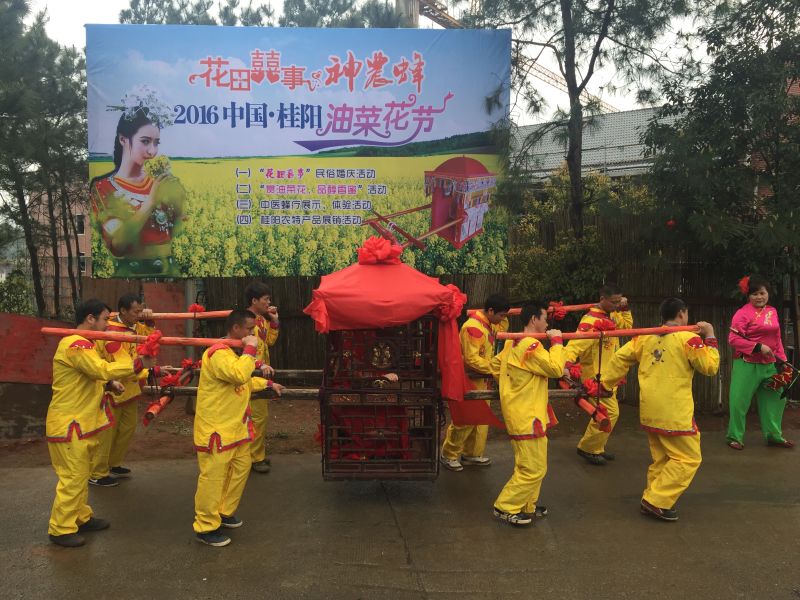 郴州桂阳油菜花,郴州桂阳油菜花开迎客来