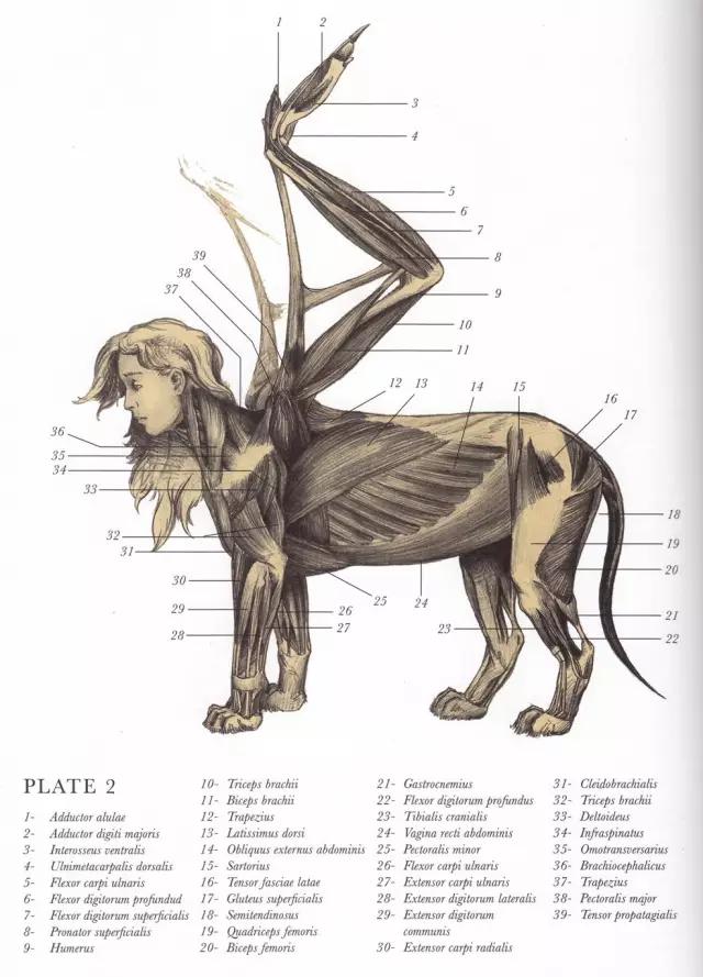 这不科学！游戏怪兽解剖指南