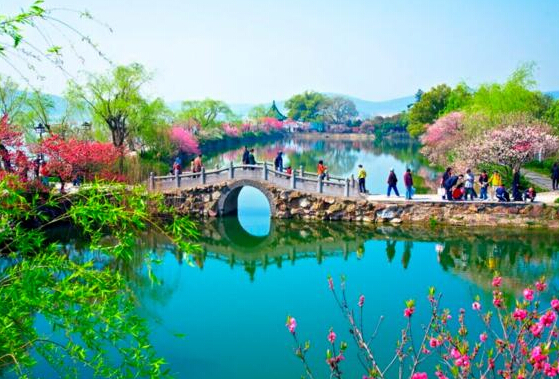 龙猫欢乐世界,龙猫的世界地址