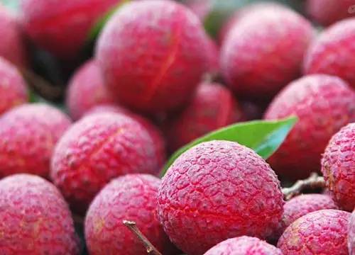 从a到z的食物单词,从a到z开头的食物英文