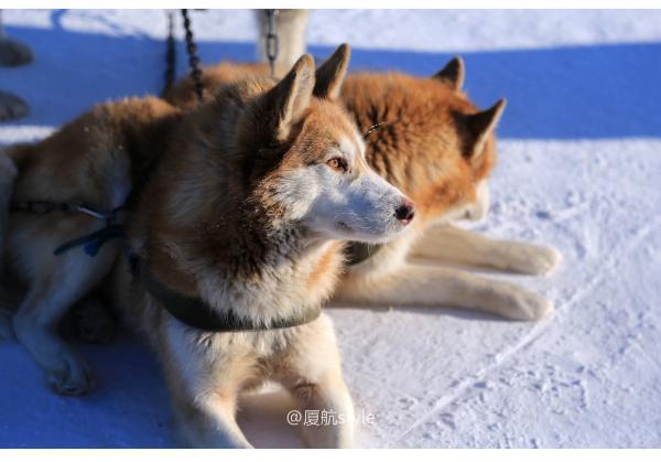 牧马少年歌曲完整版,牧马少年草原