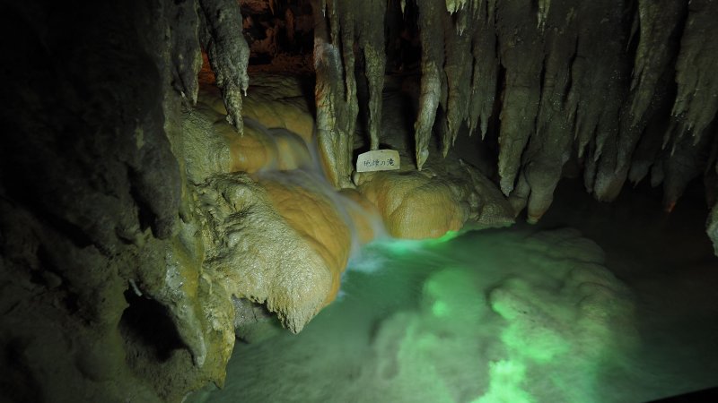 奥林巴斯相机镜头参数,奥林巴斯penf实拍样张