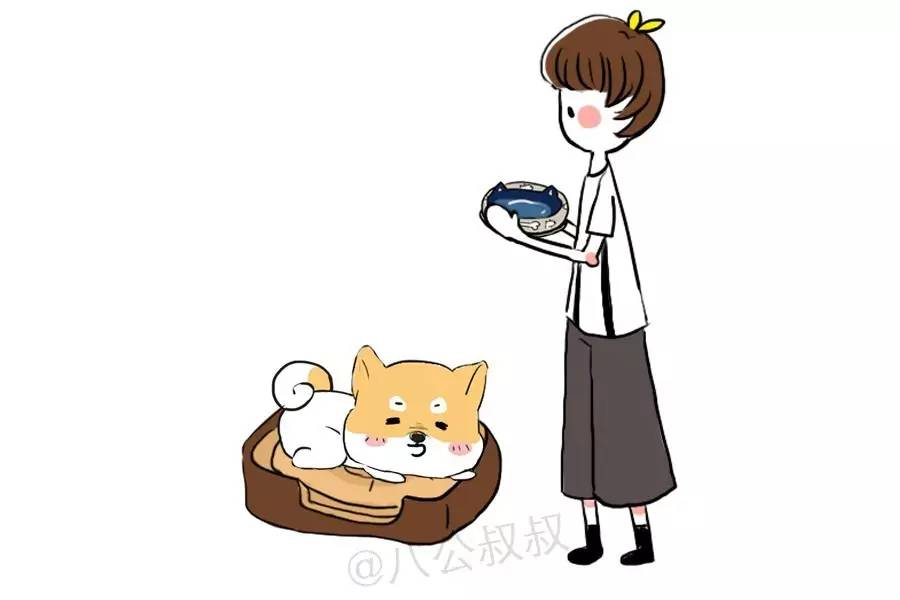 怎样缓解狗狗肠胃炎肚子疼,狗狗慢性肠胃炎可以吃西咪替丁吗