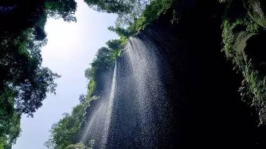 重庆免费景区有哪些地方,重庆景区有哪些景点门票免费